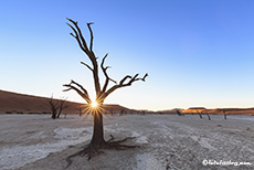 Die Sonne versinkt langsam im Deadvlei, Namib, Namibia