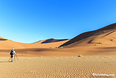 Alois im Sandkasten der Namib, Namibia