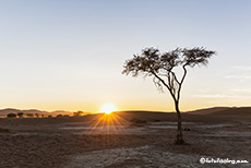 Sonnenaufgang in der Namib