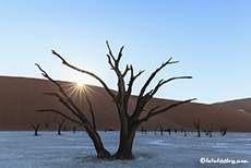 Die ersten Sonnenstrahlen im Deadvlei