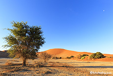 Sossusvlei, Namib, Namibia