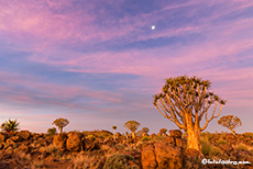 Wow, was für ein Licht, Farm Gariganus, Namibia