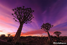 für uns der schönste Sonnenuntergang in diesem Urlaub, Farm Gariganus, Namibia