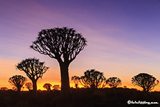 und wieder ein schönes Farbenspiel, Farm Gariganus, Namibia