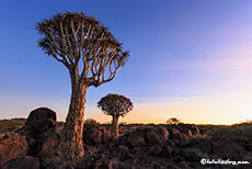 das erste Licht, Farm Gariganus, Namibia