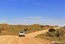 Dünenquerung im Kgalagadi Nationalpark, Botswana, Südafrika