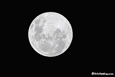 Vollmond im Pilanesberg Nationalpark, Südafrika