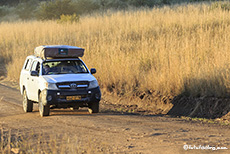 Unterwegs im Pilanesberg Nationalpark, Südafrika