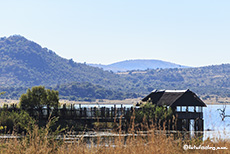 Mankwe Hide, Pilanesberg Nationalpark, Südafrika