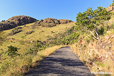 Ralf ist auch schon in Sicht, Marakele Nationalpark, Südafrika