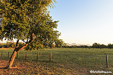 Unser Campsite Wasserloch im Marakele Nationalpark, Südafrika