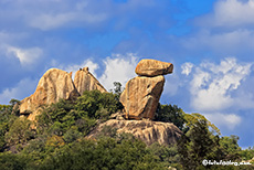 Steinernes Kamel im Whovi Game Park, Matobo Nationalpark, Zimbabwe