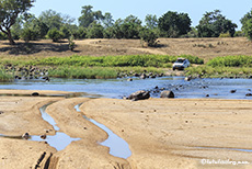 nächste Runde Flussdurchquerung, Gonarezhou Nationalpark, Zimbabwe