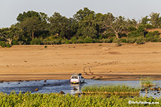 Durchquerung des Runde Rivers, Gonarezhou Nationalpark, Zimbabwe