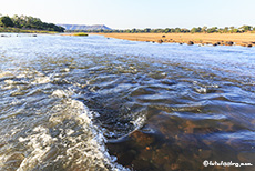 Im Runde River, Gonarezhou Nationalpark, Zimbabwe