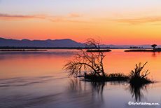 Morgenrot über dem Sambesi, Mana Pools Nationalpark, Zimbabwe