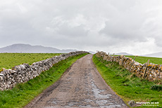 Single Track Road, Schottland
