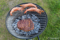 Surf and Turf