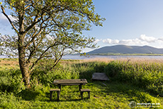 Caerlaverock National Nature Reserve, Channel of Lochar Water, Schottland