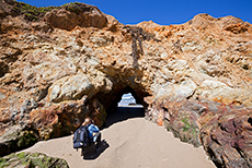 Naturbrücke am Strand