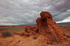 Elephant Rock, Valley of Fire