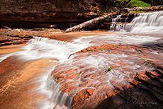 Kaskaden auf dem Weg zur Subway, North Creek, Zion NP