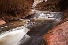 Wassermassen in der Subway, North Creek, Zion NP