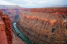 Blick in den Canyon, Toroweap, Grand Canyon North Rim