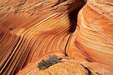 klein ist der Mensch - Wave von oben, Coyote Buttes North