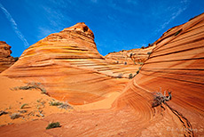 Third Wave, Coyotes Buttes South