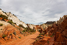 Unterwegs auf der Cottonwood Canyon Road