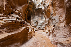 im Willis Creek unterwegs