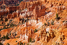 Felsennadeln im Bryce Canyon