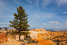 unterwegs im Bryce Canyon NP