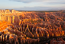 erstes Licht auf den Felsnadeln am Bryce Point, Bryce Canyon