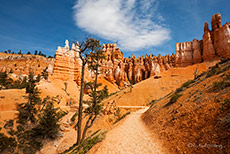 Queens Garden Trail, Bryce Canyon