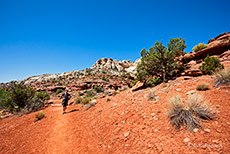 Weg zu den Calf Creek Falls