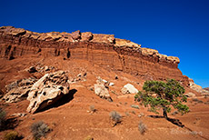 bizarre Felsen am Scenic Drive im Capitol Reef NP