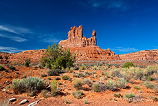 Sandsteingebilde im Valley of Gods