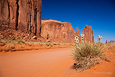 Im Monument Valley unterwegs