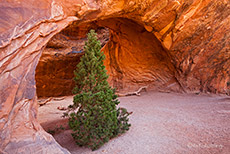 Navajo Arch, Arches Nationalpark