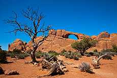 SkylineArch, Arches Nationalpark