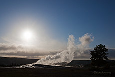 Old Faithful Geysir, Yellowstone Nationalpark