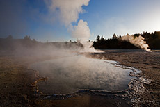 Geysire im Yellowstone Nationalpark