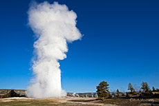 Old Faithful Geysir, Yellowstone Nationalpark