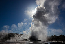 Castle Geysir, Yellowstone Nationalpark