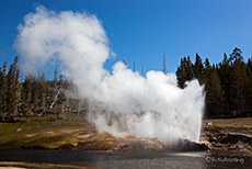 Riverside Geysir, Yellowstone Nationalpark