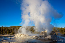 Grotto Geysir, Yellowstone Nationalpark