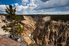 Grand Canyon of the Yellowstone, Yellowstone Nationalpark