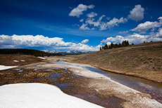 Hayden Valley, Yellowstone Nationalpark